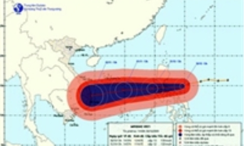 Triển khai công tác phòng tránh bão Mirinae